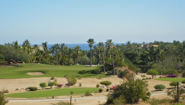 Palmilla Homes For Sale